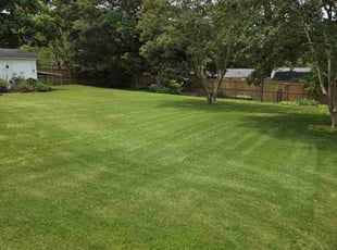 Susan K.'s turf care service result