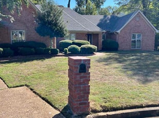 Alex M.'s lawn care services service result