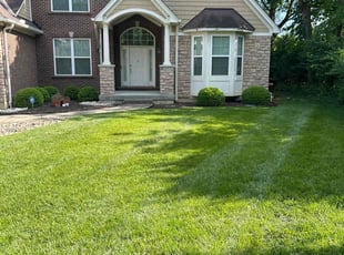 Jay U.'s lawn care service result