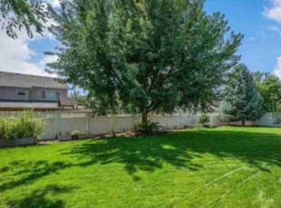 Andrew N.'s lawn care service result