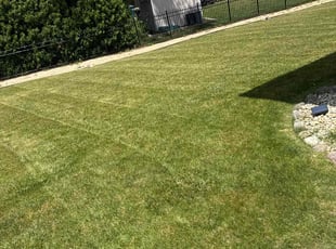 Robert C.'s turf maintenance service result