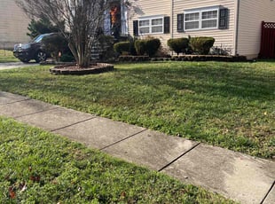 Charlene C.'s Leaf Removal service result