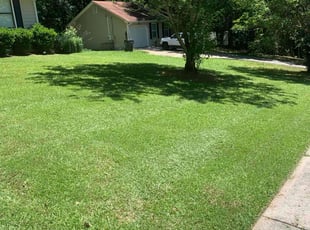 Johnathan L.'s grass cutting service result