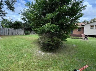 Toni C.'s Bush Trimming service result