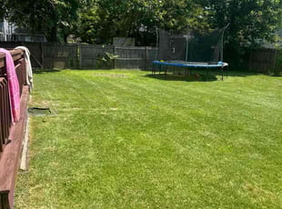 Emmie M.'s lawn maintenance service result