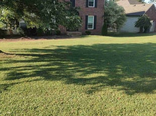 Daniel C.'s residential landscaping service result