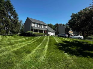 Luwan D.'s grass maintenance service result