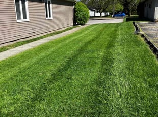 Jessie p.'s turf maintenance service result