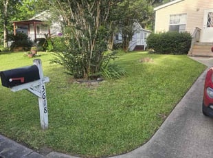 Diana M.'s Long Grass Cleanup service result