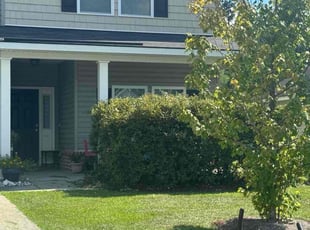 Anjie G.'s Bush Trimming service result