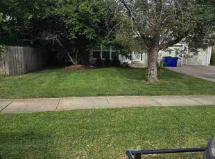 Elizabeth H.'s lawn service service result