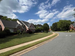 Ann W.'s lawn care service result