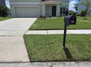 Abbie S.'s grass maintenance service result