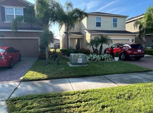 Michael A.'s Long Grass Cleanup service result