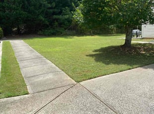 Cynthia H.'s grass maintenance service result
