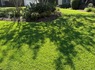 April S.'s lawn maintenance service result
