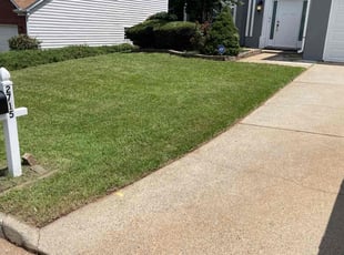 Carrie L.'s turf maintenance service result