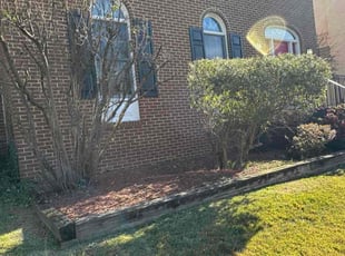 Pearl C.'s Bush Trimming service result