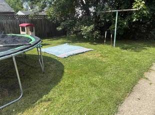 Ashley S.'s grass cutting service result