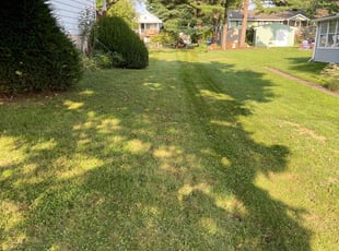 Gabriel J.'s turf care service result
