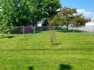 Cheryl M.'s turf maintenance service result