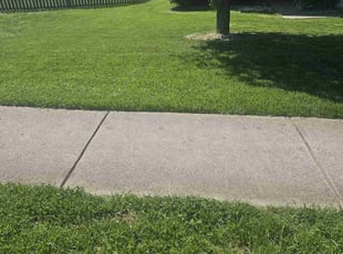 Donald C.'s turf care service result