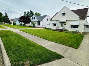 Chanyn K.'s turf maintenance service result