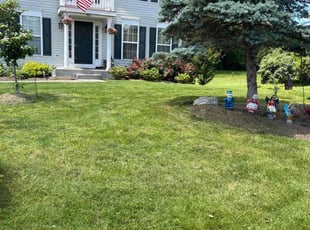 Nicholas L.'s lawn care services service result