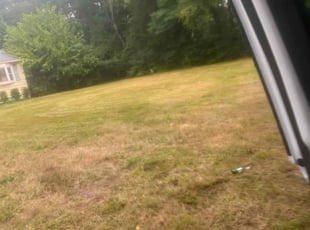 Constance K.'s Bush Trimming service result