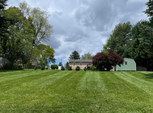 Cameron B.'s grass maintenance service result