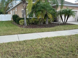 Michele G.'s lawn care services service result