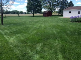 Kelly I.'s lawn maintenance service result