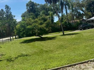 Christopher K.'s turf care service result