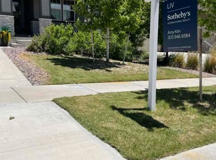 Walid F.'s turf care service result