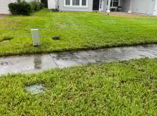 Michael H.'s turf maintenance service result