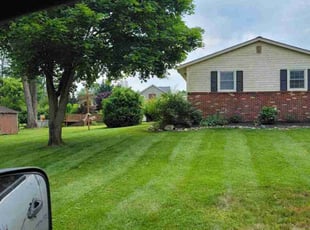 Greg S.'s lawn care services service result