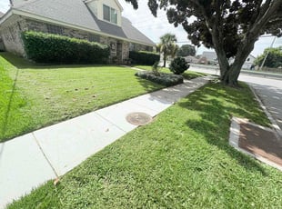 Cody L.'s lawn care services service result