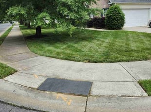 Gary H.'s grass cutting service result