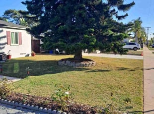 Gloria A.'s lawn service service result