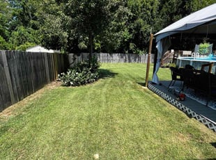 Susan V.'s turf care service result