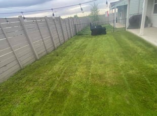 Alita T.'s turf maintenance service result