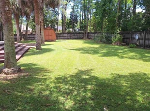 Kelsey K.'s turf maintenance service result