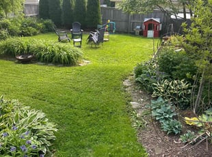 Tanecia H.'s grass maintenance service result