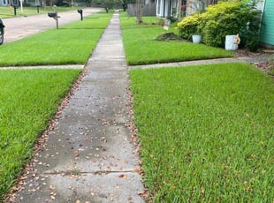 Cheryl S.'s grass cutting service result