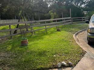 Karen O.'s grass cutting service result