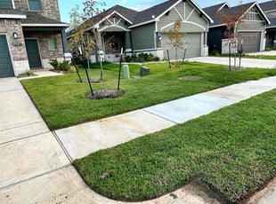 Denise R.'s lawn care services service result