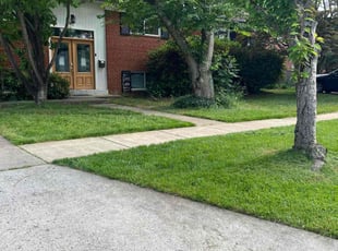 Amanda F.'s turf maintenance service result