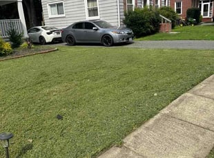 Cullen A.'s lawn service service result