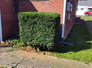 Angela J.'s lawn maintenance service result