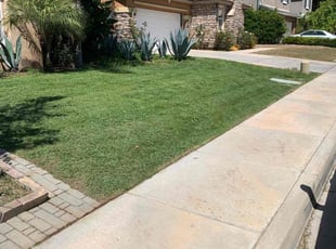 Nakiea W.'s grass cutting service result